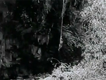 New Adventures of Tarzan--vine swing