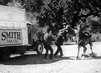 Rex and Rinty--fight 1