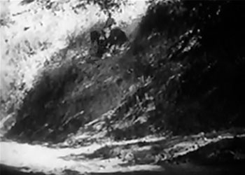 Rex and Rinty--Iverson's