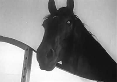 Rex and Rinty--Rex in trailer