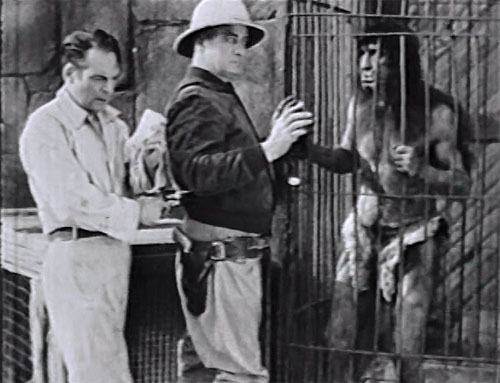 Walter Miller--King of the Wild