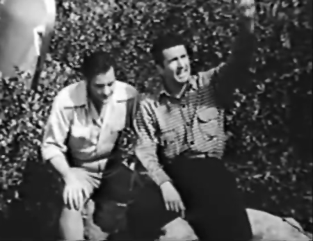 Rick Vallin--Brick Bradford 1